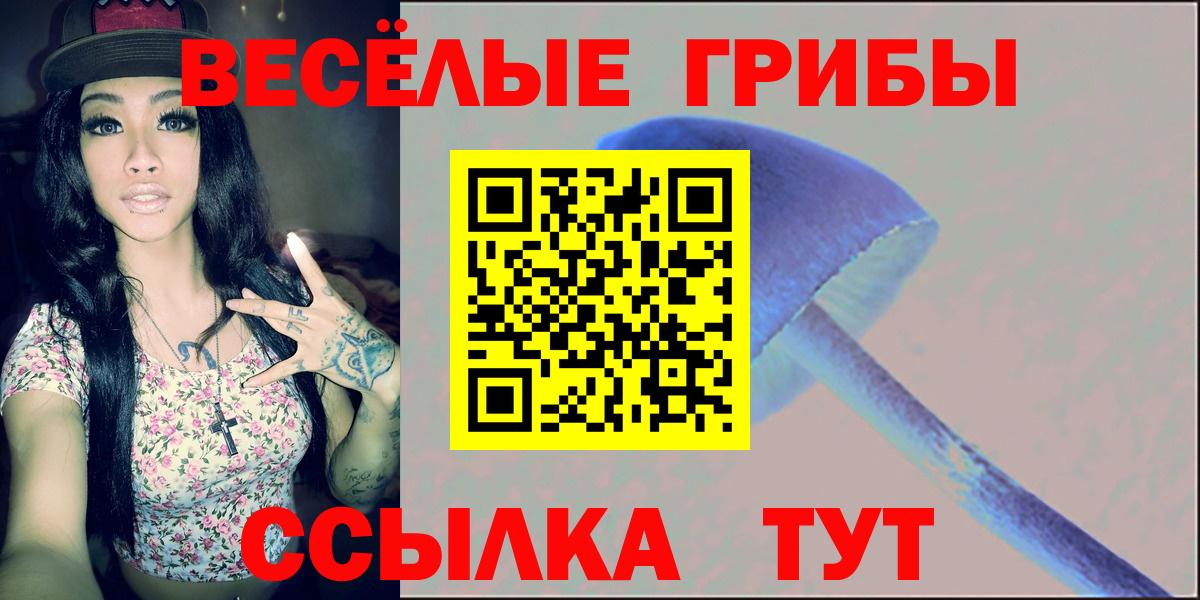 Псилоцибиновые грибы Psilocybe Новочебоксарск